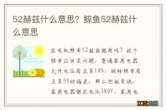 52赫兹什么意思？鲸鱼52赫兹什么意思