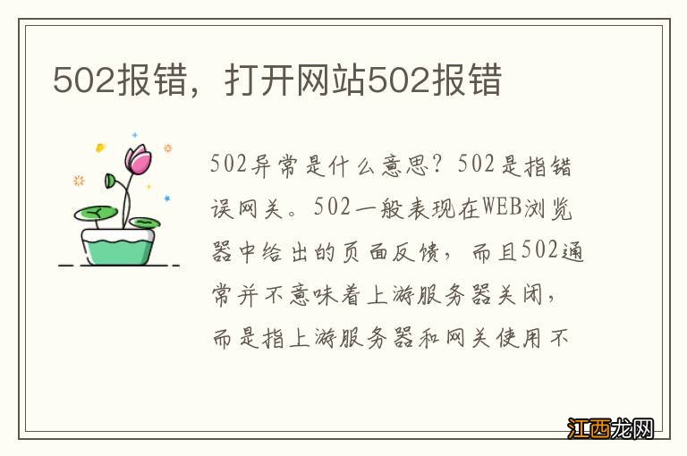 502报错，打开网站502报错