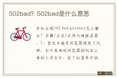 502bad？502bad是什么意思