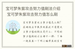 宝可梦朱紫攻击努力值刷法介绍 宝可梦朱紫攻击努力值怎么刷