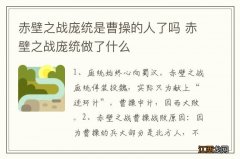 赤壁之战庞统是曹操的人了吗 赤壁之战庞统做了什么