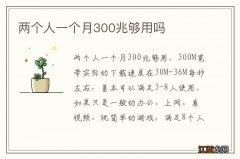 两个人一个月300兆够用吗