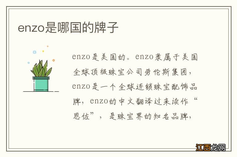 enzo是哪国的牌子