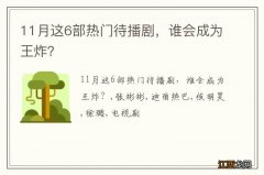 11月这6部热门待播剧，谁会成为王炸？