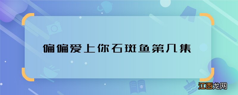 偏偏爱上你石斑鱼第几集 偏偏爱上你石斑鱼事故是哪一集