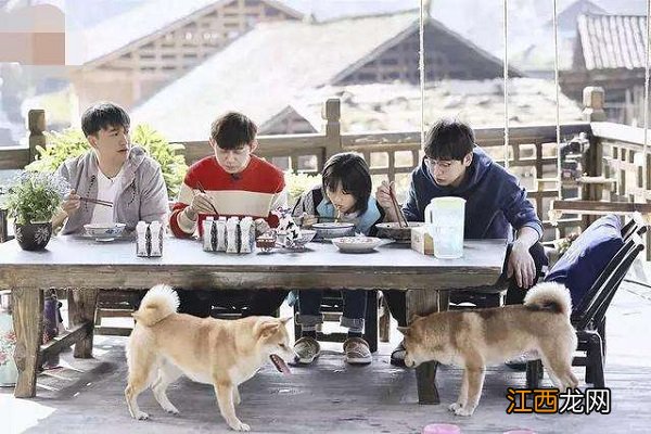 向往的生活3每周几播出向往的生活第三季星期几更新