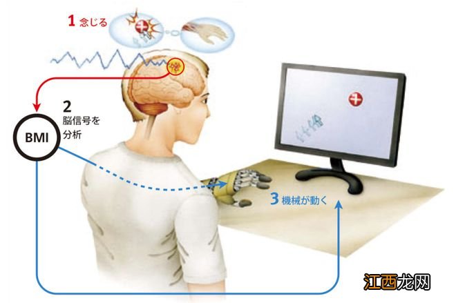 日本科研团队正在尝试让残障玩家用脑波玩《堡垒之夜》