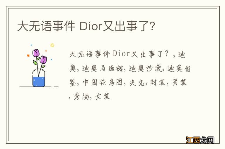 大无语事件 Dior又出事了？