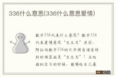 336什么意思爱情 336什么意思