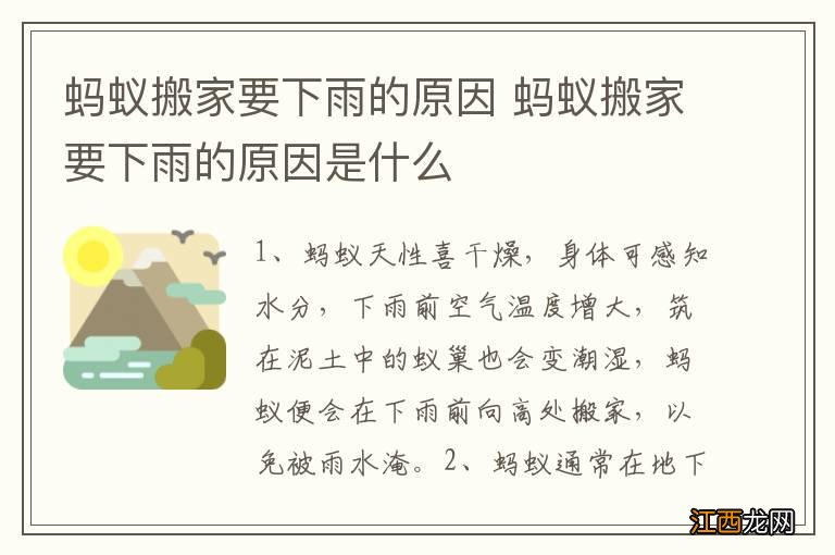 蚂蚁搬家要下雨的原因 蚂蚁搬家要下雨的原因是什么