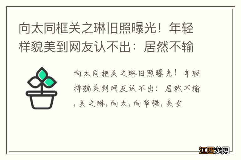 向太同框关之琳旧照曝光！年轻样貌美到网友认不出：居然不输