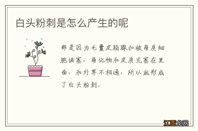 白头粉刺是怎么产生的呢