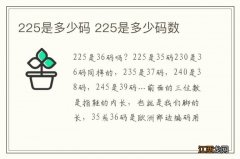 225是多少码 225是多少码数