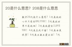 20是什么意思？208是什么意思