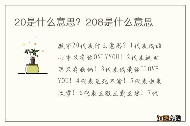 20是什么意思？208是什么意思