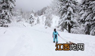 雪乡旅游攻略自助游，雪乡旅游攻略自助游5天