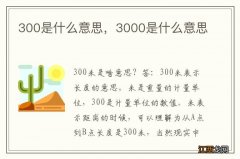 300是什么意思，3000是什么意思