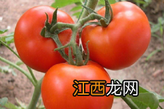 如何吃三文鱼能美容？三文鱼的美容吃法有哪些？