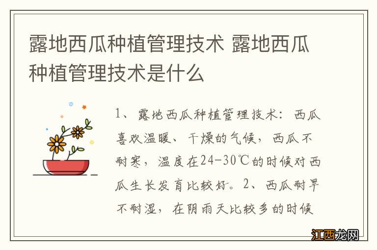 露地西瓜种植管理技术 露地西瓜种植管理技术是什么