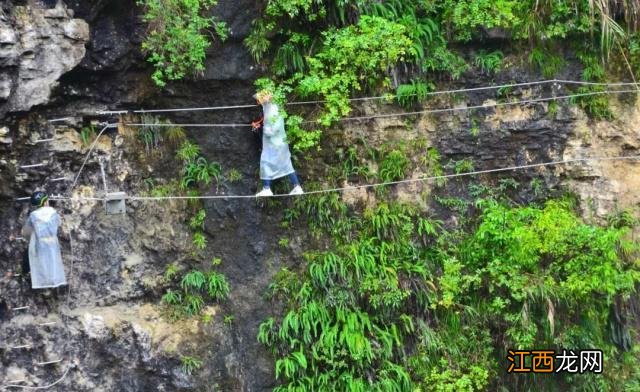 贵阳有一处名不见经传的景点,距今已有千万年之久,形似猴耳
