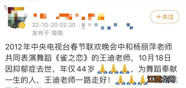 国家一级演员王迪因抑郁症去世,曾登春晚与杨丽萍合作,年仅44岁