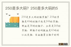 250是多大码？250是多大码的5