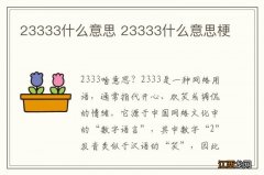 23333什么意思 23333什么意思梗