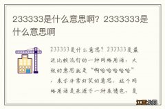 233333是什么意思啊？2333333是什么意思啊