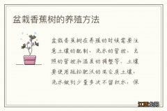 盆栽香蕉树的养殖方法