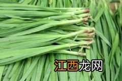 荠菜的吃法有哪些？荠菜怎样吃美味又营养？