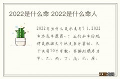 2022是什么命 2022是什么命人