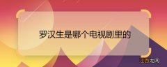 罗汉生是哪个电视剧里的 主角是罗汉生的电视