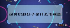 包贝尔赵公子是什么电视剧 包贝尔饰演赵公子是什么作品