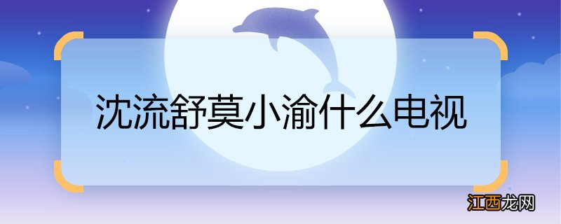 沈流舒莫小渝什么电视 沈流舒莫小渝的电视