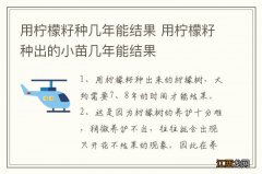 用柠檬籽种几年能结果 用柠檬籽种出的小苗几年能结果