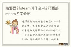 暗邪西部steam叫什么-暗邪西部steam名字介绍