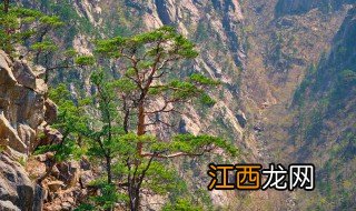 富川有哪些景点值得去的地方 富川有哪些景点值得去
