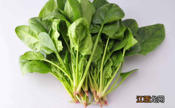 日常男性养生食物有哪些？男性养生吃什么食物好？