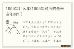 1995年对应的是辛亥年吗？ 1995年什么年