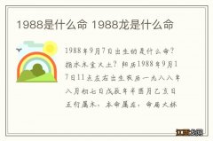 1988是什么命 1988龙是什么命