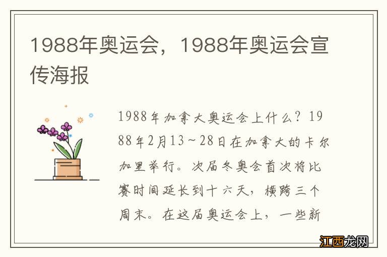 1988年奥运会，1988年奥运会宣传海报