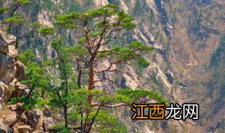 什么季节去武当山旅游景点，什么季节去武当山旅游景点好玩