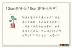 16cm是多长图片 16cm是多长