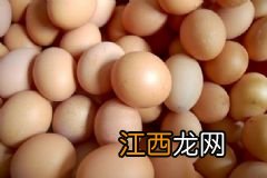 冬季饮食养生有哪些小常识？冬季养生可以吃什么食物？