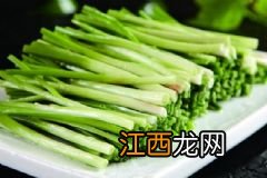 春天吃什么食物养生最好？春天吃哪些食物最健康？