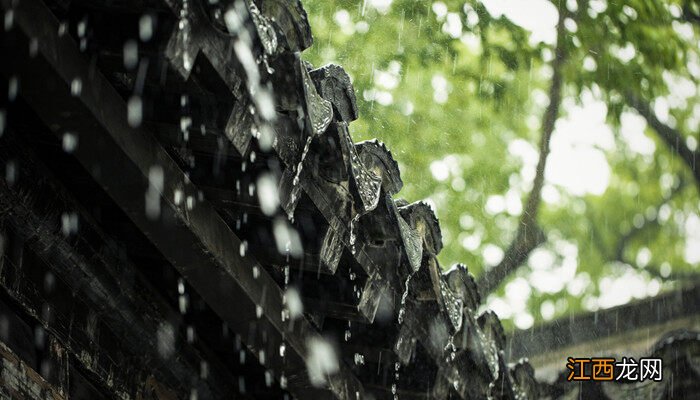 下雨天打封闭除草剂可以吗视频 下雨天打封闭除草剂可以吗