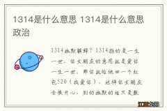 1314是什么意思 1314是什么意思政治