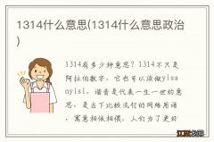 1314什么意思政治 1314什么意思