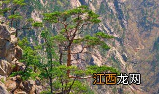 开县雪宝山什么季节去 开县雪宝山什么季节去好玩