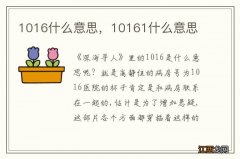 1016什么意思，10161什么意思